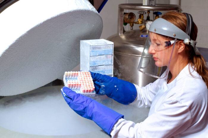 Cryopreservation